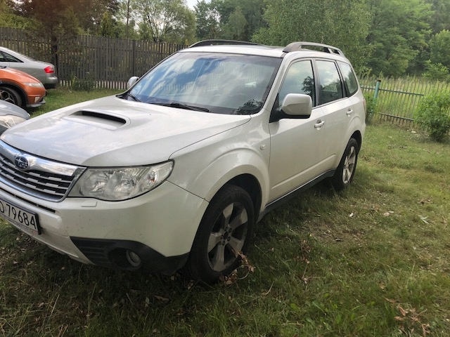 SUBARU FORESTER BIAŁY 2010