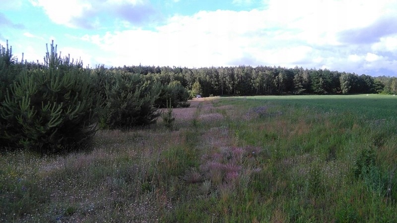 Działki budowlane,Huta Chojno,las,jezioro ,w-z