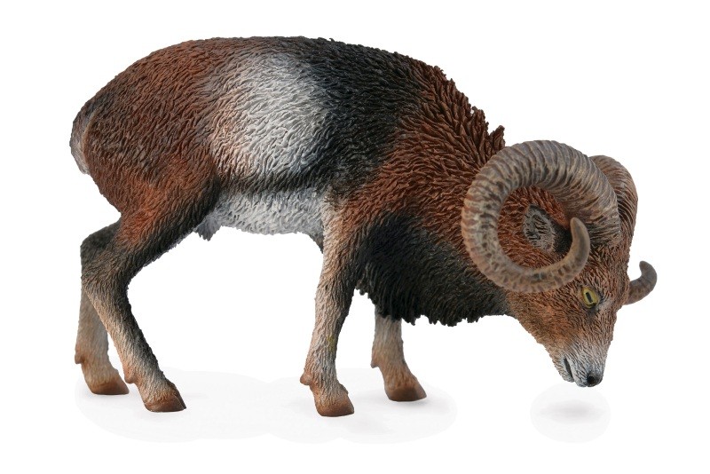 MC CollectA 88682 - Muflon samiec