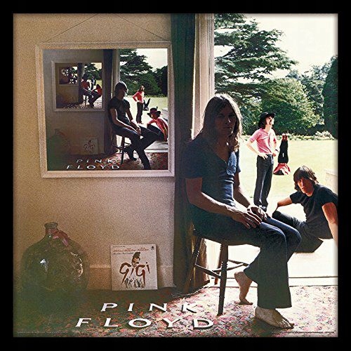 PINK FLOYD: UMMAGUMMA FRAMED ALBUM COVER PRINTS WA
