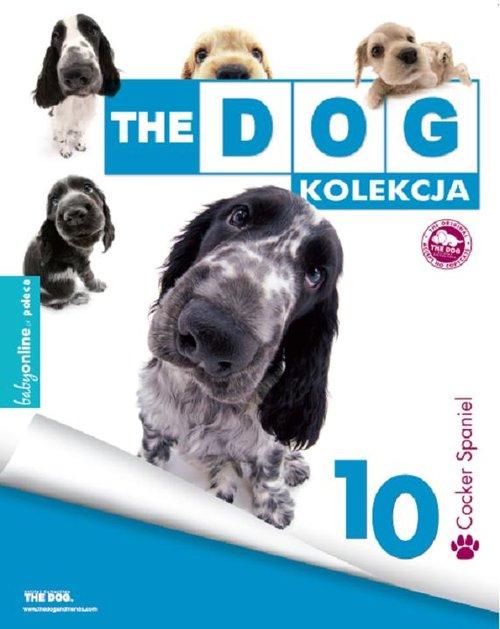THE DOG Cocker Spaniel Kolekcja 10 Zabawka Dzieci