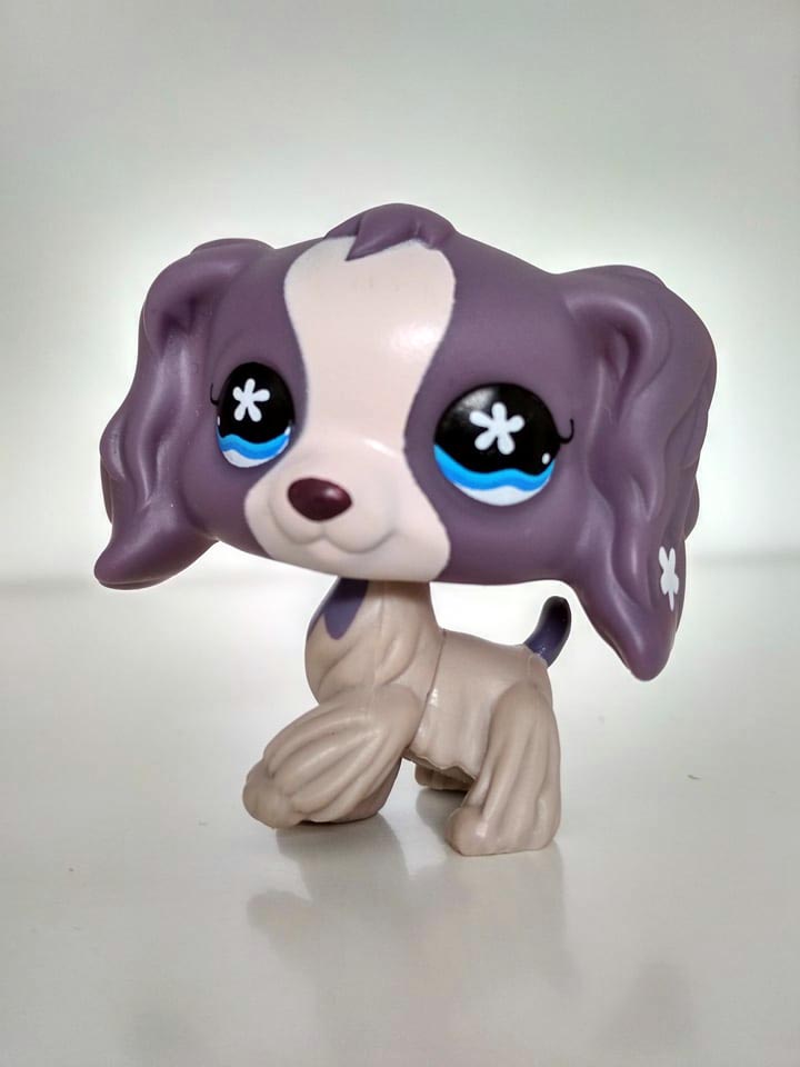 Littlest Pet Shop p Cocker Spaniel #672 LPS magnes