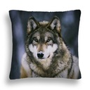 PODUSZKA WILK SAMIEC ALFA 10 PRZEWODNIK STADA LAS