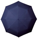 Небольшой и легкий складной женский зонт в голландском стиле.