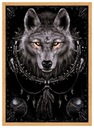 Spiral Wolf Dreams Vlk - plagát 61x91,5 cm EAN (GTIN) 5050574325448