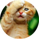 ВОЛНЫ для торта КОТЫ, диаметр 20 см, плотные, насыщенные цвета.