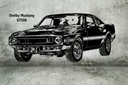 Наклейка Shelby Mustang GT500 100x50 см №61