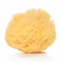 Губка SEA Natural Grass Tropical Sponge B. Большая