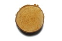TANIE Drewniane plastry drewna brzoza 8-10 cm g1cm EAN (GTIN) 5905031601026