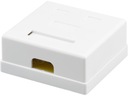 Zásuvka NEKU CAT6 UTP 2 x RJ45 na omítku bílá 241003 Barva bílá
