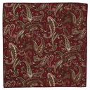 Элегантный нагрудный платок Alties