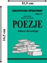 Библиотека исследований поэзии Словацкого Zeszyt47