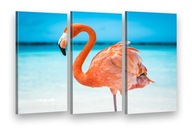 TRIPTYCHY TRIPTYCH canvas OBRAZ Veľký FLAMINGY výber