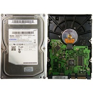 Pevný disk Samsung HD322KJ | REV A TRIDENT II R06 | 320GB SATA 3,5"