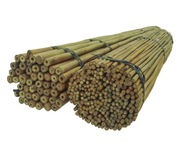 BAMBUSOVÁ KOCKA 180 cm 16/18 mm /10ks, bambus