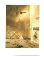 Pocztówka - Rommert Boonstra, Szczypce kraba ...