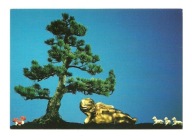 Pocztówka - Drzewko bonsai i aniołek z barankami