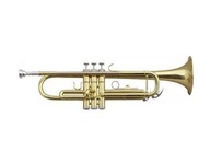 Chester Trumpet v kostýme Bb 708100 - trubka
