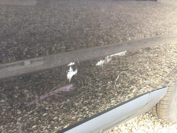 фото thumb №3, Дверь левая задние зад volvo v70 xc70 467-46