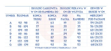 КОСТЮМНОЕ ПЛАТЬЕ ХОЛОДНОЕ НАРЯД 98-104 ПЛАТЬЕ