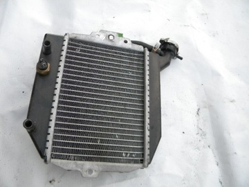 Peugeot CityStar 125 Радиатор