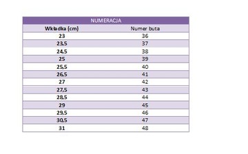 Buty, obuwie robocze wzór 0391 PPO r.42