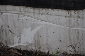 фото thumb №12, Дверь правое передние правый перед scudo ii jumpy