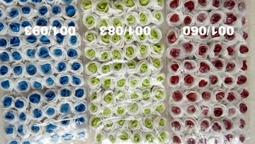 M11 Цветы из пенопласта с жемчугом 2,5см/72шт, 10 цветов