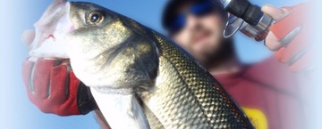 5 X DROP SHAD SWALLOW 7,5 см EXO SUPER LURE 5