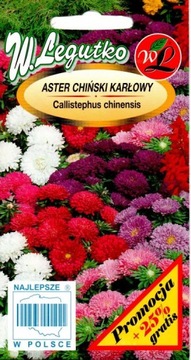 АСТРА КАРЛИКОВАЯ СМЕСЬ КРАСИВЫХ ЦВЕТОВ 1,25 г 'ЛЕГУТКО