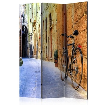 Screen 3 partial 135x172 street bicycle, фото