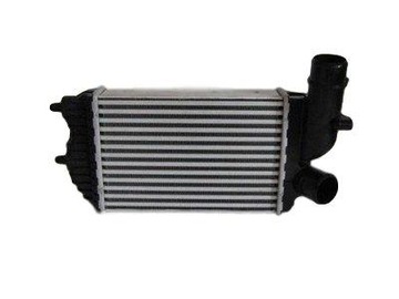 Intercooler citroen jumper 94 95 96 97 98- 05 0384e4 1307012080 1340934080, фото
