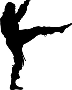 Sticker gloss karateka ninja 12cmx15cm, фото