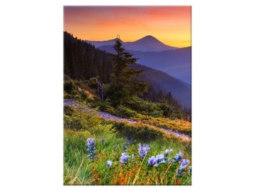 Image on canvas meadow в gorach 50x70 salon, фото