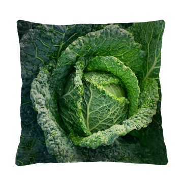 Cushion bertoni 40 x 40 centimeters, фото