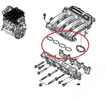 5 x gasket collector inlet renault 1.4 1.6, фото