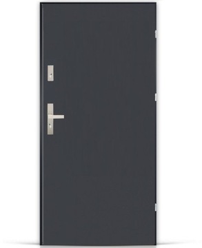 Polish door external jowisz smooth gr 55 hit!, фото