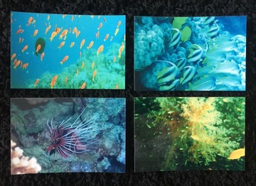 Bumper fishes diving rafa coral 4 pieces, фото