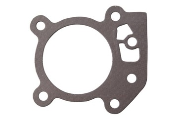 Gasket heads briggs& stratton 799586, фото