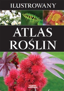 ILUSTROWANY ATLAS ROŚLIN duże fotografie