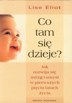 Что там происходит? Как развиваются мозг и разум.