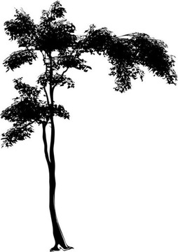 Naklejka na ścianę duże 200cm Drzewo DRX-6