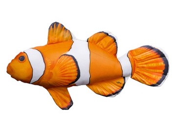Błazenek Plamisty mini (amphiprion ocellaris) 32cm