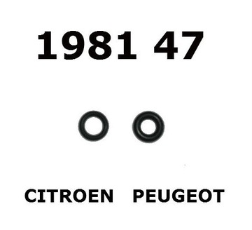 УПЛОТНИТЕЛЬНОЕ КОЛЬЦО ИНЖЕКТОРА CITROEN PEUGEOT 198147