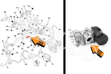 7 Заглушка EGR PEUGEOT CITROEN FORD 2.0 HDI TDCi