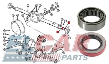 łożysko uszczelniacz półosi Dodge Ram 1500 02-06