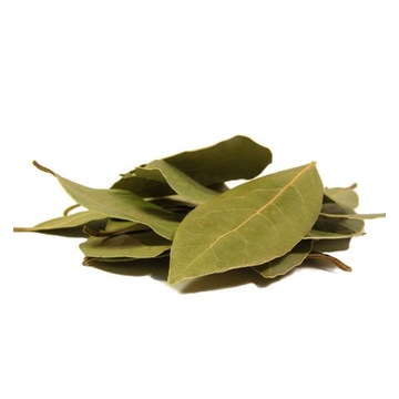 LIŚĆ LAUROWY, LIŚCIE LAUROWE 1000g aromatyczny naturalny + NIESPODZIANKA