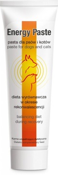 Dolfos Energy Pasta 100g pies/kot rekonwalescencja