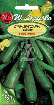 CUKINIA DYNIA ASTRA POLKA ODPORNA NA MĄCZNIAKA,plenna