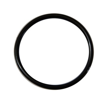 Топливный насос Deutz Fahr 04231021 Polmo